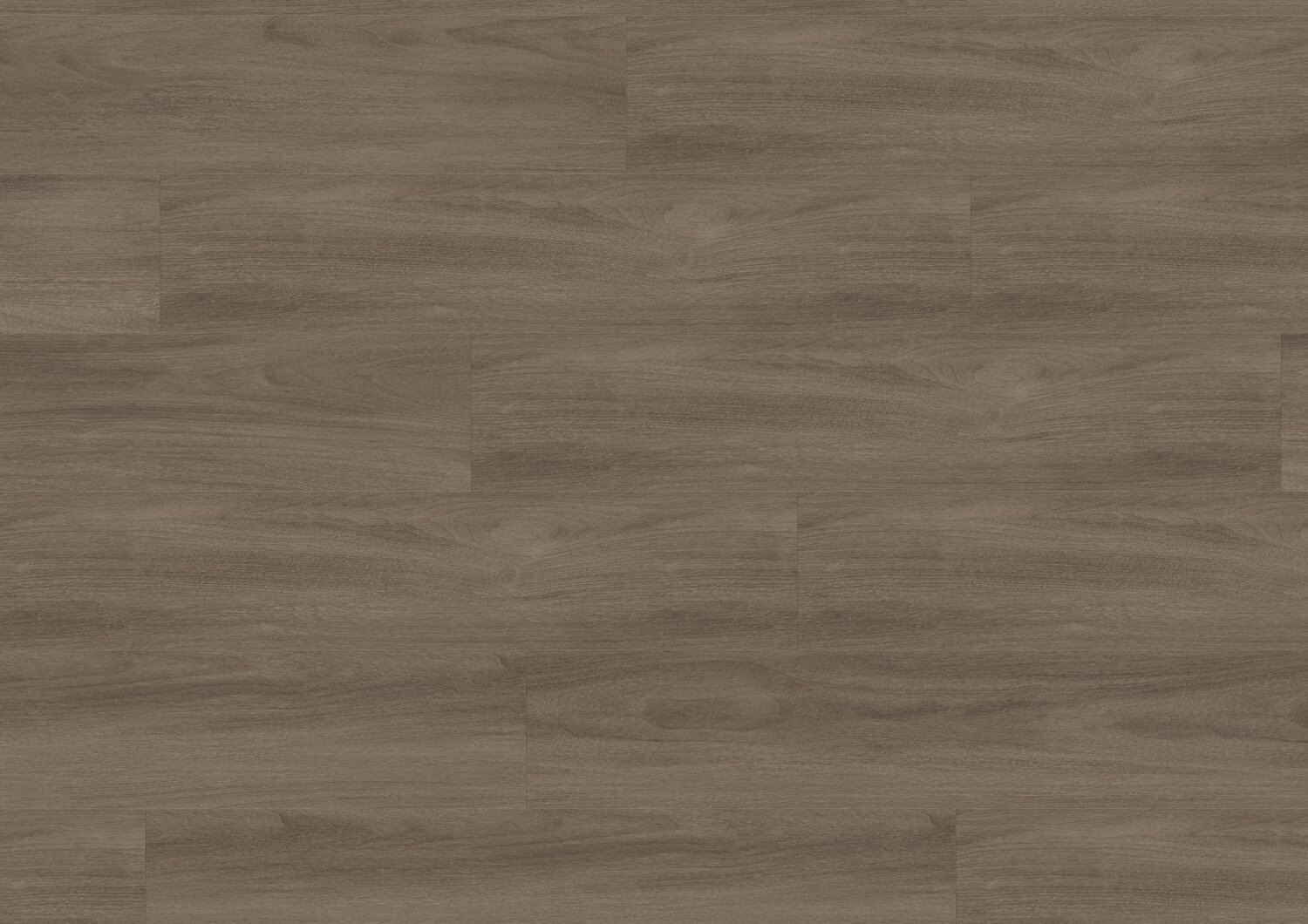 BOSTONIAN OAK MEDIUM